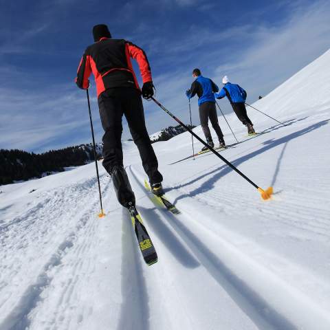Ski de fond, vue de dos