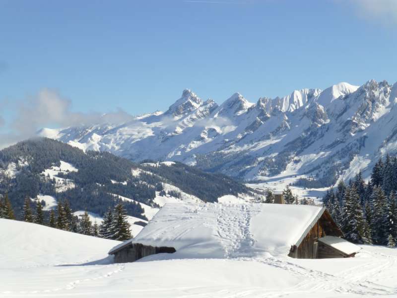 800x600_2923-plateau_de_beauregardjacky_fouillet_35