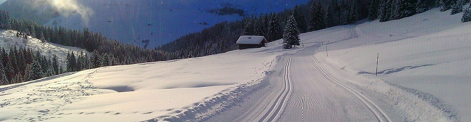 Piste bleue de ski de fond