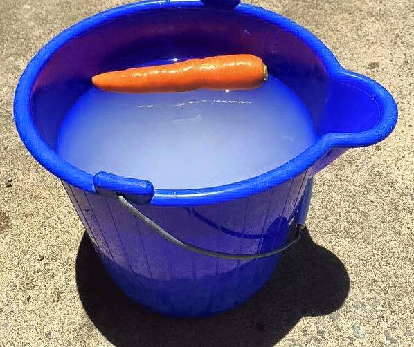 bonhomme de neige en kit