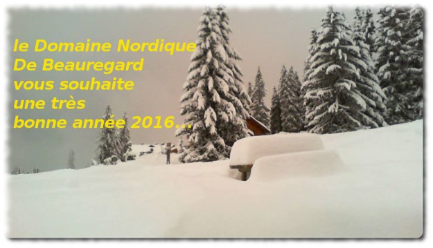 Bonne Année 2016