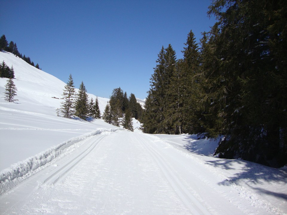Piste bleue de ski de fond de Vonezin à Beauregard