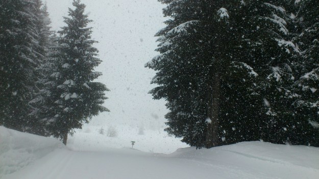 Neige sur les pistes de ski de Fond du plateau de Beauregard