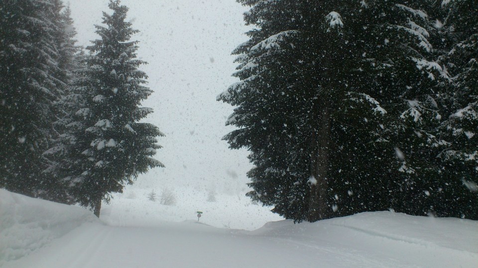 Neige sur les pistes de ski de Fond du plateau de Beauregard