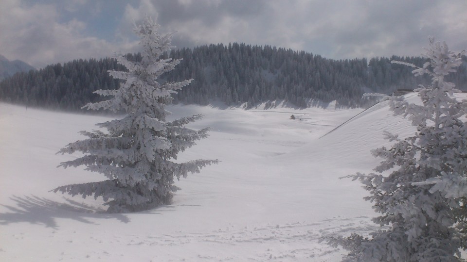 Les pistes de ski de fond avec la bise qui souffle sur Beauregard