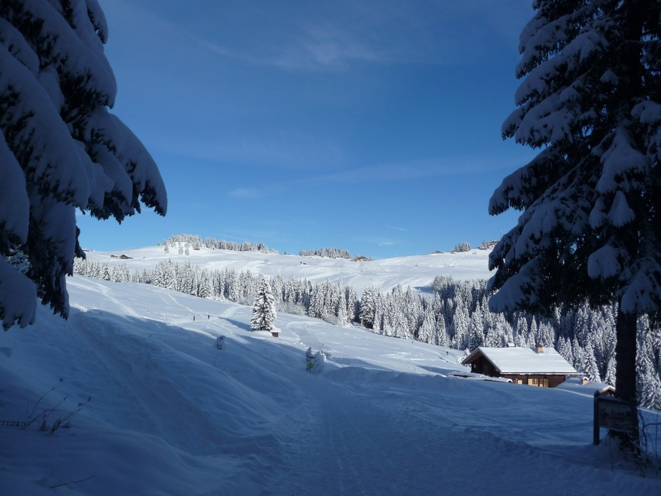 Piste de randonnée raquettes de l'espace nordique de Beauregard