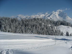 piste bleue