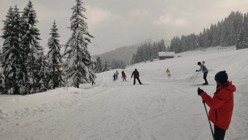 Sommet de la Piste d'accès de ski de fond du domaine nordique de Beauregard.