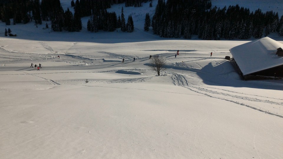 Tour du plateau en ski de fond , au soleil de Beauregard