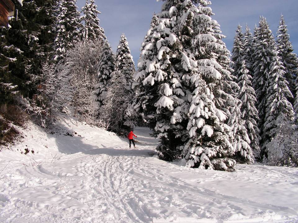 Il a neigé sur le domaine de ski de fond de Beauregard.
