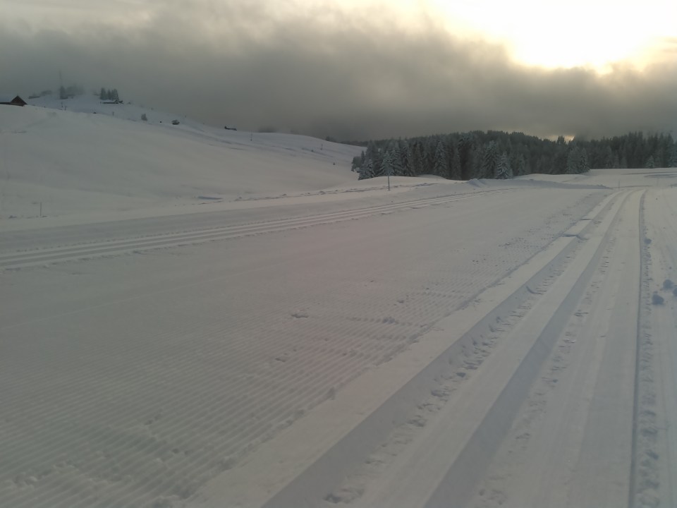 Tout le domaine de ski de fond est repeint en blanc.