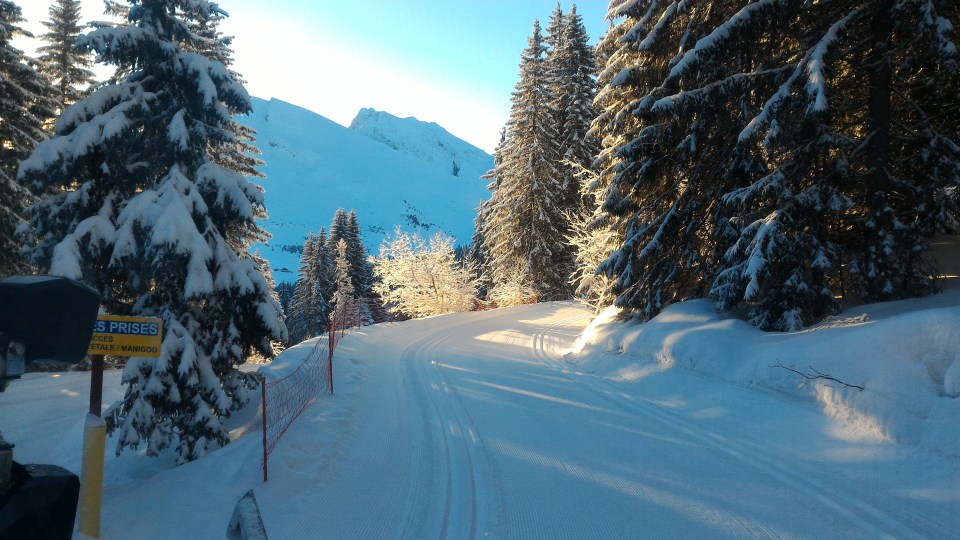 Lever de soleil sur les pistes de ski de fond.
