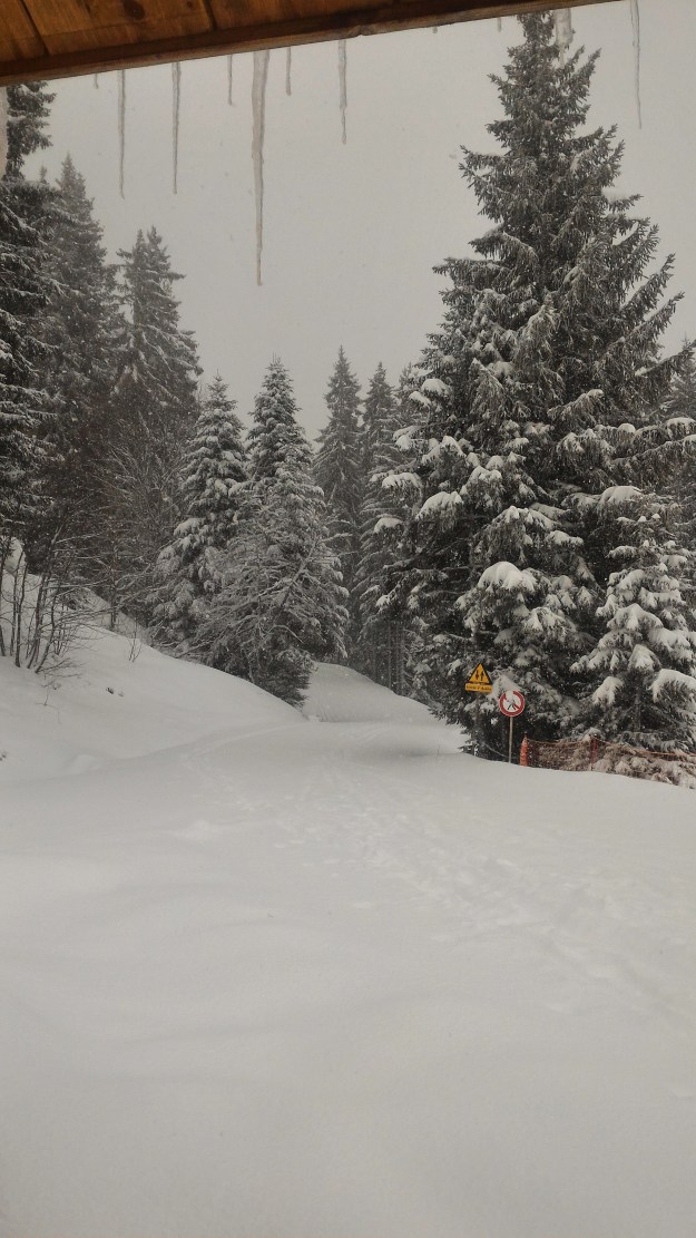 Neige du soir sur le domaine de ski de fond de Beauregard.