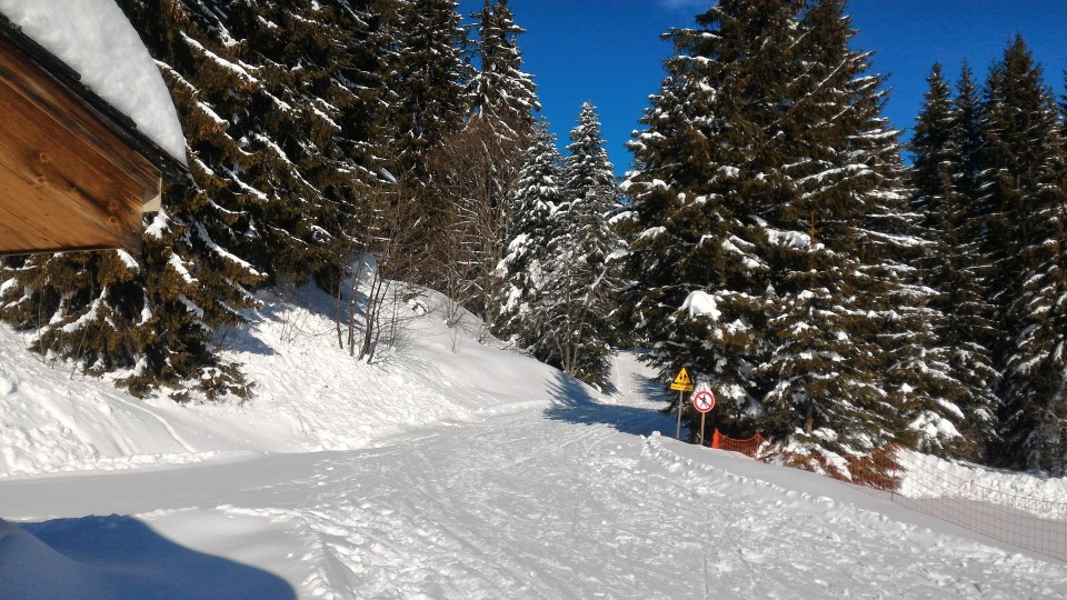 Le soleil revient sur les pistes de ski de fond.