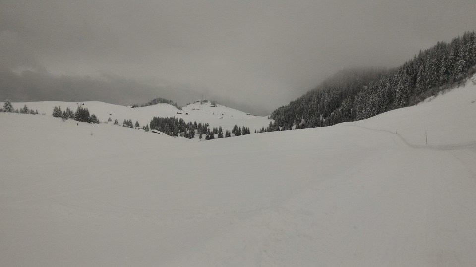 Vue du plateau de Beauregard depuis las piste noire sous Colomban