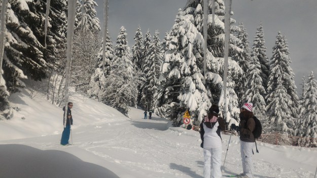 Départ du ski de fond sous le soleil.