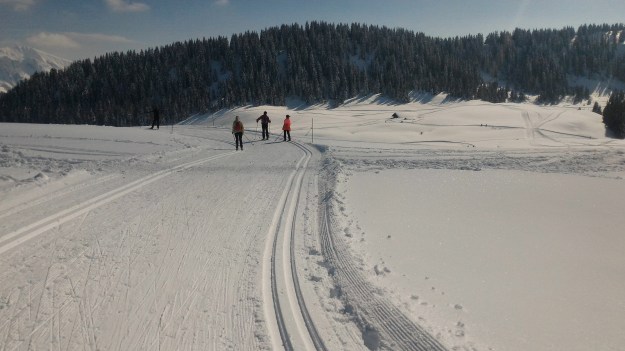 Skieurs sur les pistes de fond de Beauregard.
