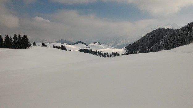 Vue du domaine de ski de fond de Beauregard de la piste noire sous Colomban.