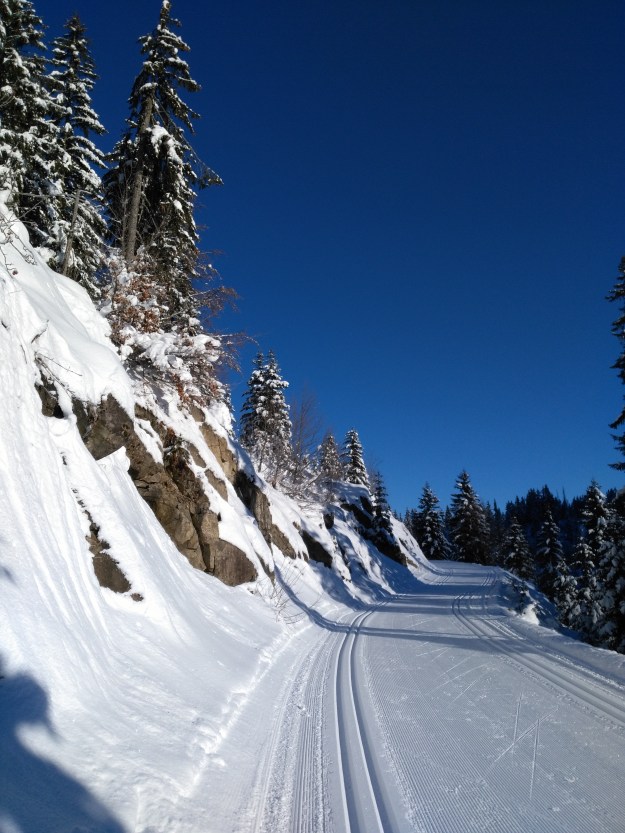 Piste se ski de fond le matin, -15°C