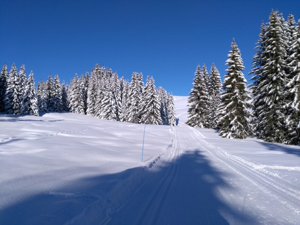 Piste se ski de fond le matin, -15°C