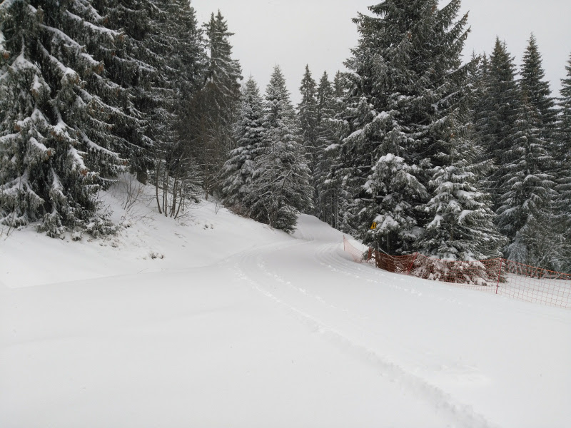 Neige sur les pistes de ski de fond