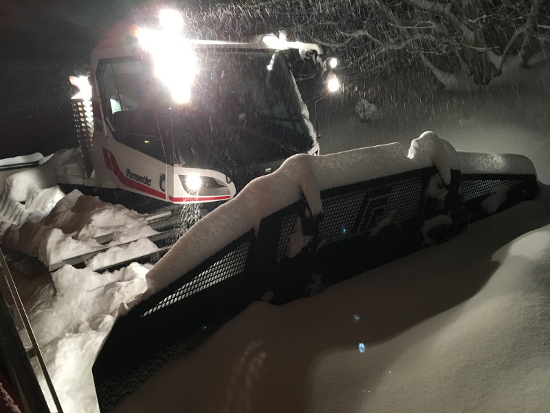 dameuse sous la neige.