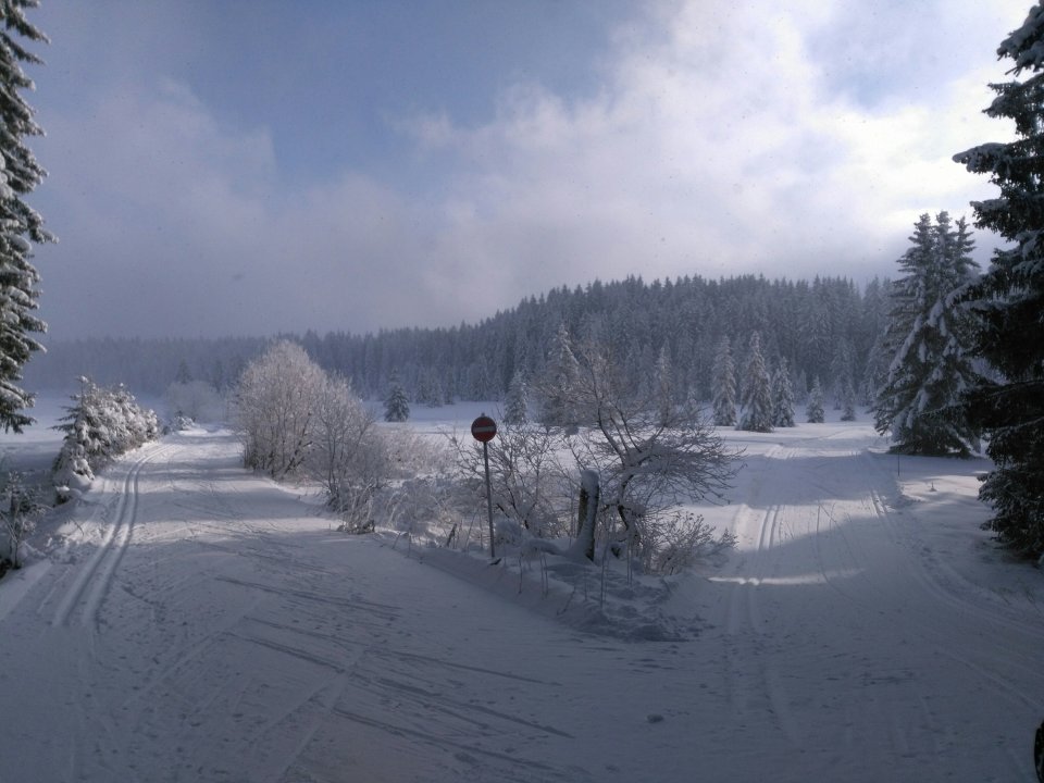 Ambiance - 10° sur la piste de ski de fond des Crulets