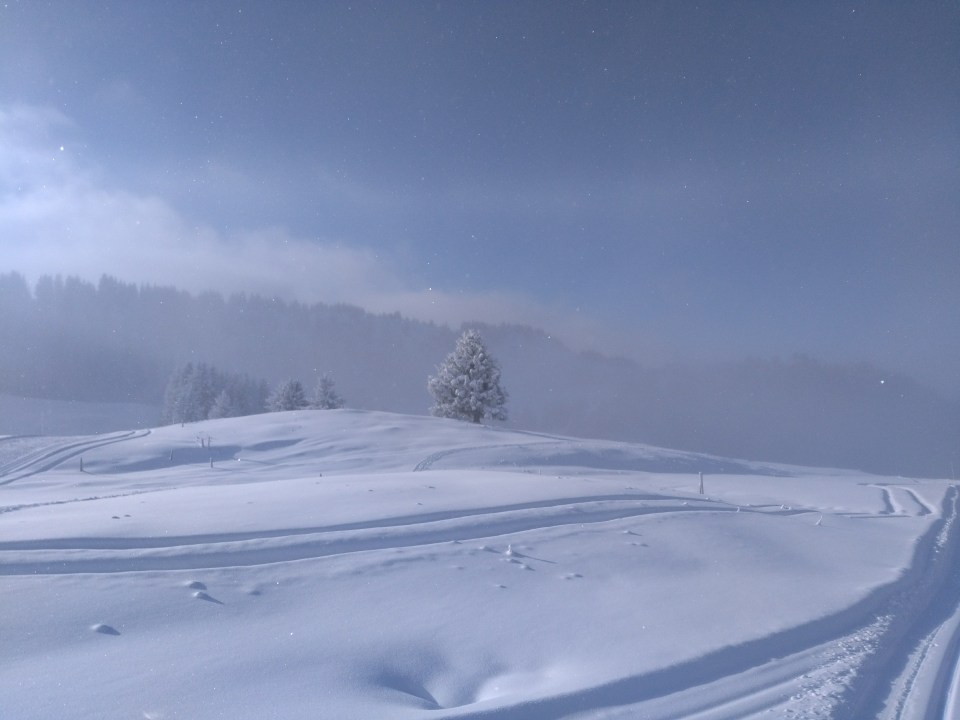 ambiance hivernale sur le domaine de ski de fond