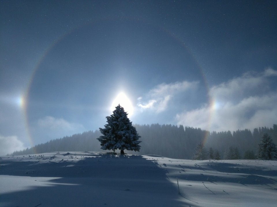 Soleil sur les pistes de ski de fond de Beauregard