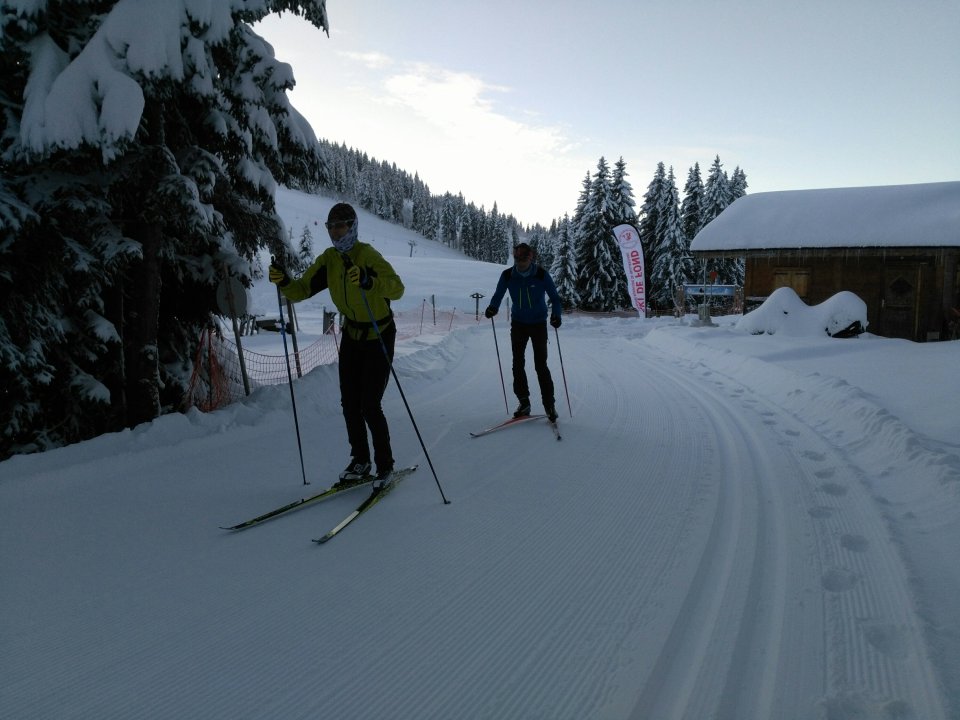 Skieurs de fond en skating.