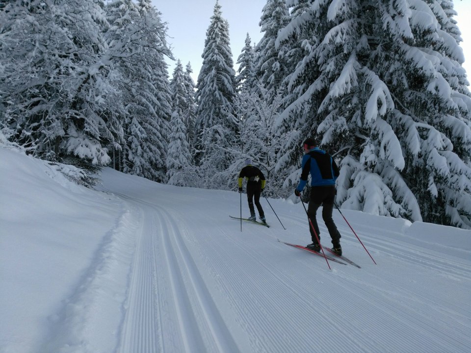 Skieurs de fond en skating.