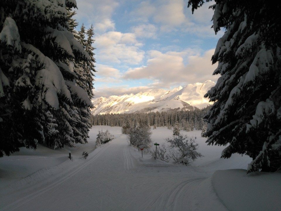 La Chaîne des Aravis et la pointe percée vue de la piste verte des Crulets.