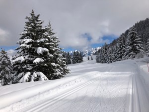 Ski de fond de Beauregard