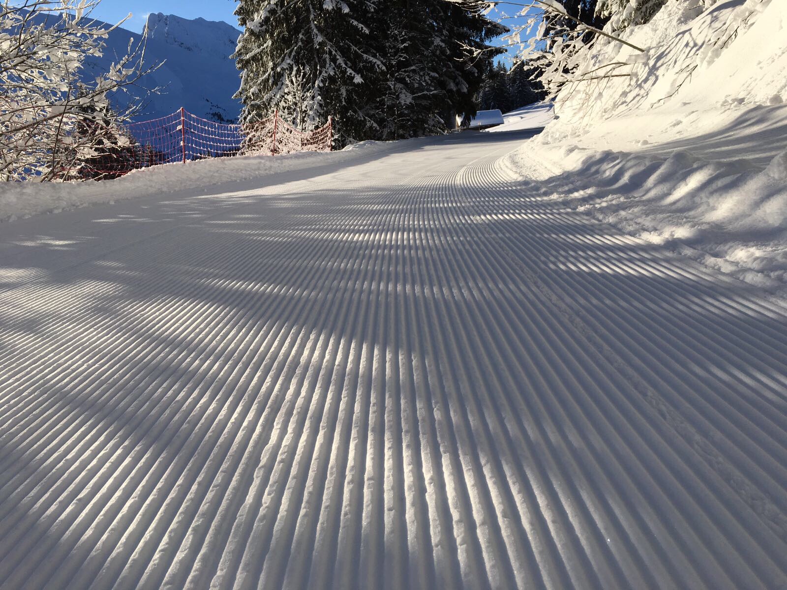 1d6e3455-69c1-45ae-8b21-da6bd344ac5a